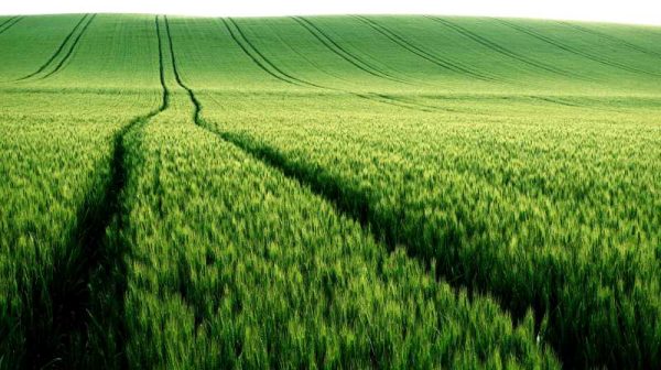 05 paysages